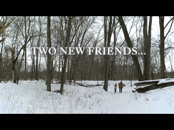The Christmas Bunny Trailer
