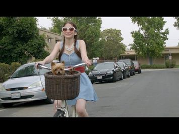 Gone Doggy Gone trailer