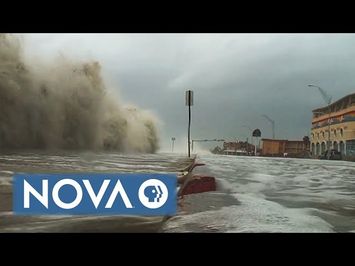 Killer Hurricanes Preview