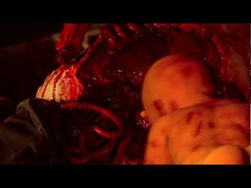 The Biker Warrior Babe Vs. The Zombie Babies From Hell Trailer