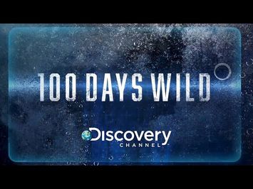 100 Days Wild Documentary Series | Discovery | Backroads Pictures