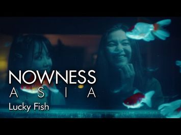 A queer coming-of-age romance set in a Chinese restaurant - Lucky Fish