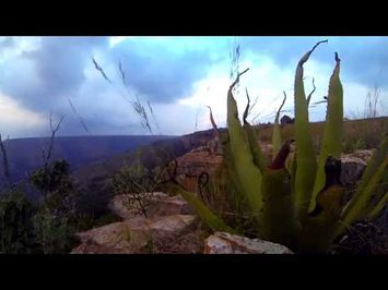 Africa Fusion Official HD Trailer