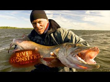 Welcome To The Official River Monsters™ Channel