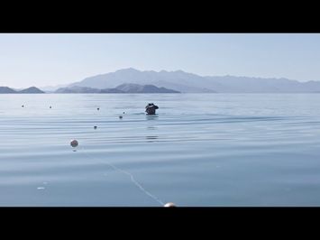 Trailer UNA CORRIENTE SALVAJE (A WILD STREAM) de/by Nuria Ibañez Castañeda