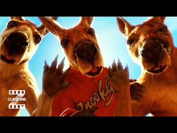 Kangaroos Can Rap?