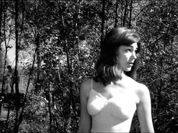 Gli sbandati - Trailer