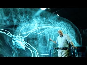 The heart of a titanosaur - Attenborough and the Giant Dinosaur: Preview - BBC One