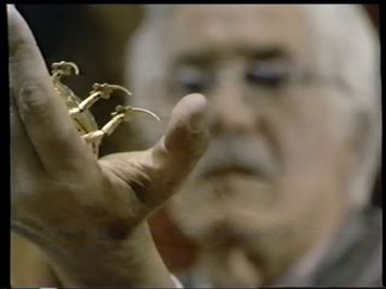 Original Trailer (VHS Capture)