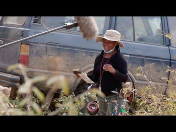 My Universal Story: Fifi Somoro | Beast