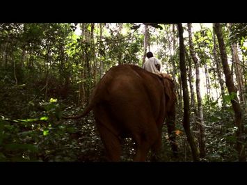 Last of the Elephant Men - Trailer