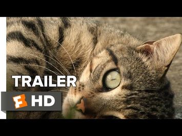 Counting Official Trailer 1 (2015) - Jem Cohen Documentary HD