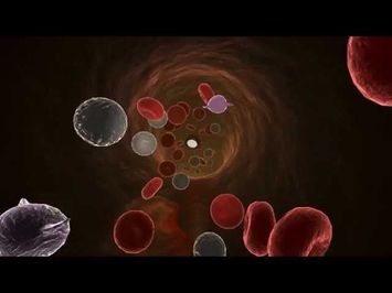 Inside The Human Body - Official Trailer